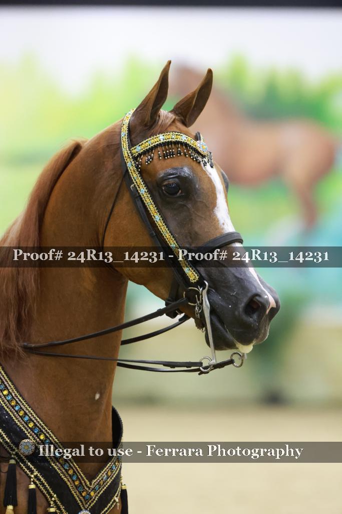 Proof 24R13_14231