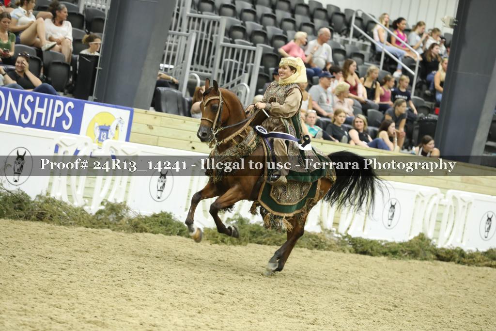 Proof 24R13_14241