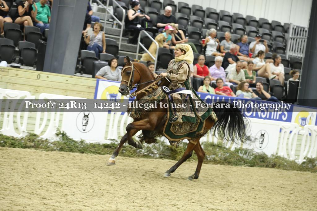 Proof 24R13_14242