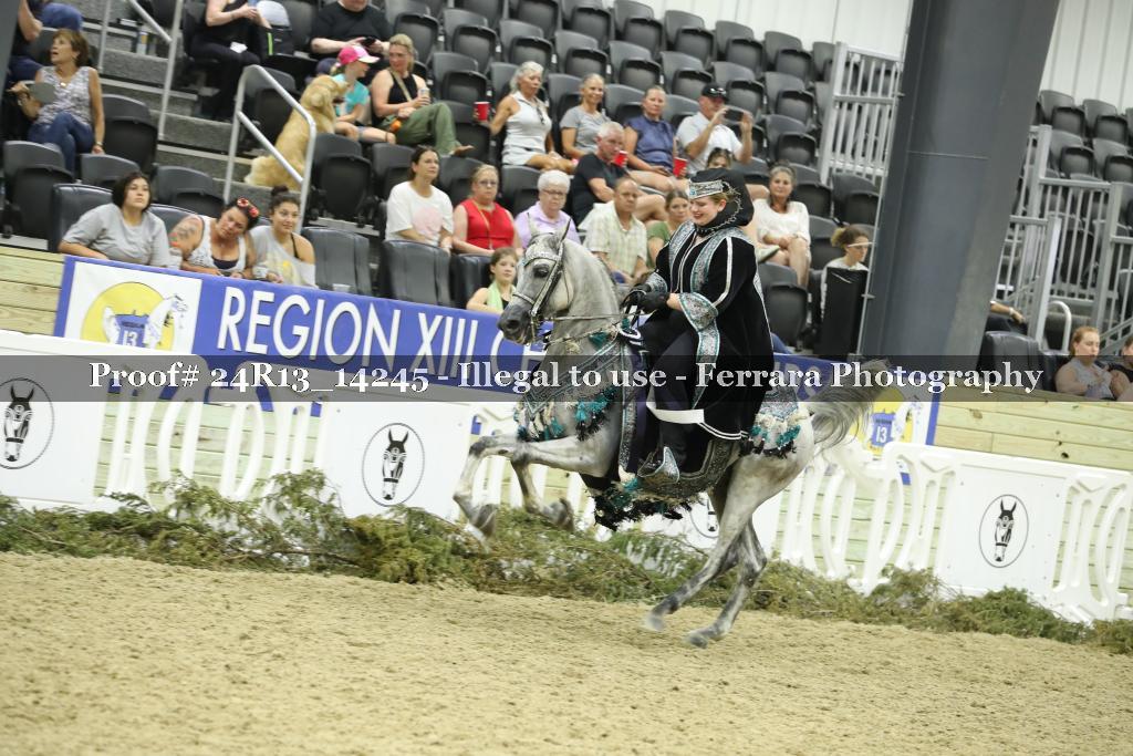 Proof 24R13_14245