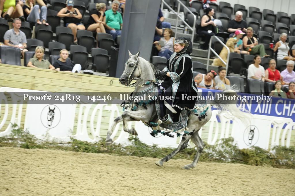Proof 24R13_14246