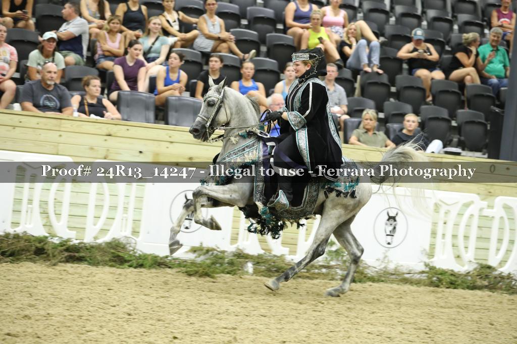 Proof 24R13_14247
