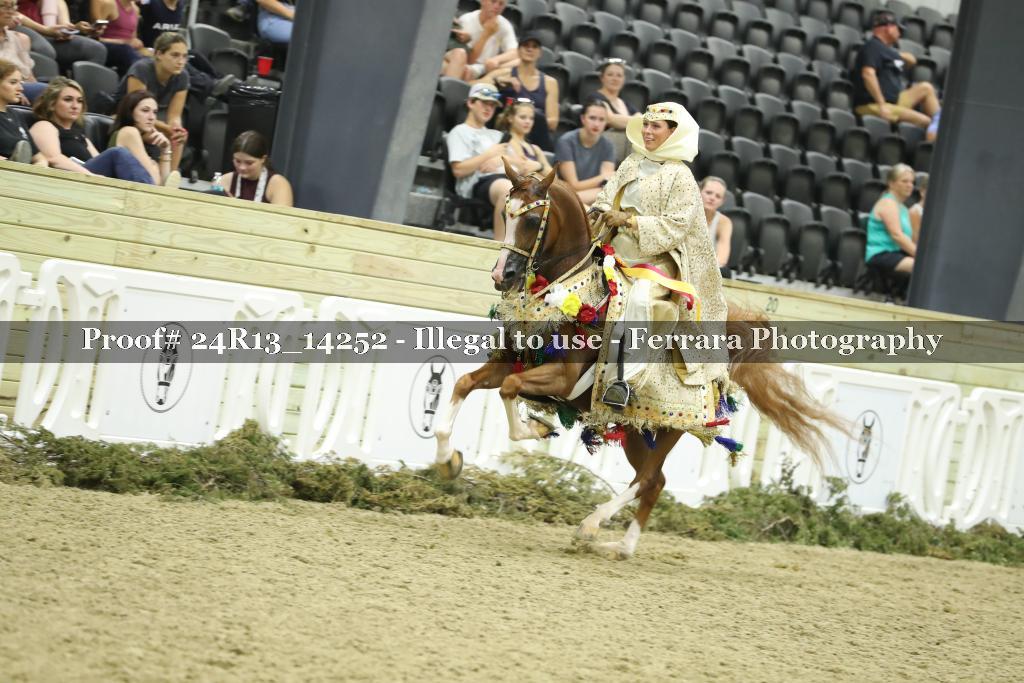Proof 24R13_14252