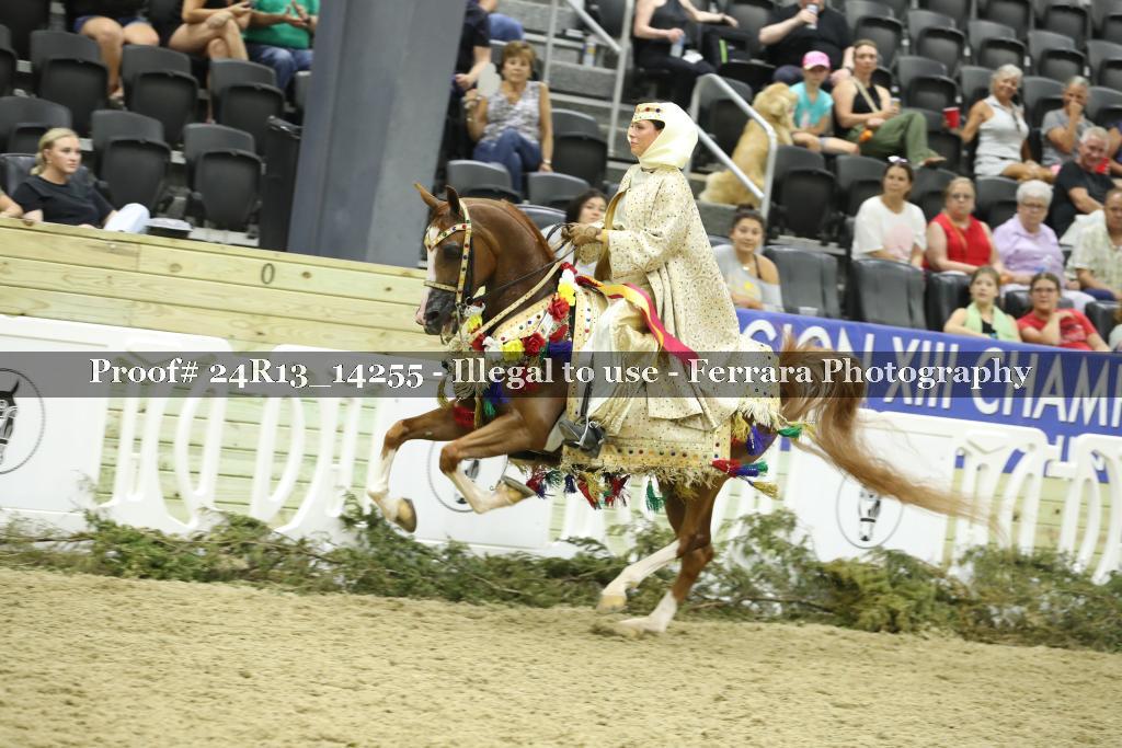Proof 24R13_14255