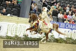 24R13_14255 proof