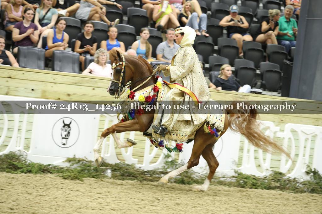 Proof 24R13_14256