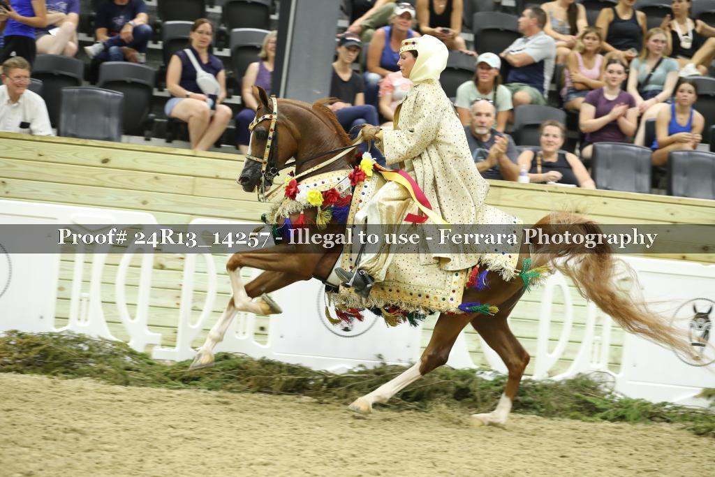 Proof 24R13_14257