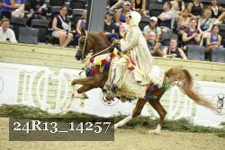 24R13_14257 proof