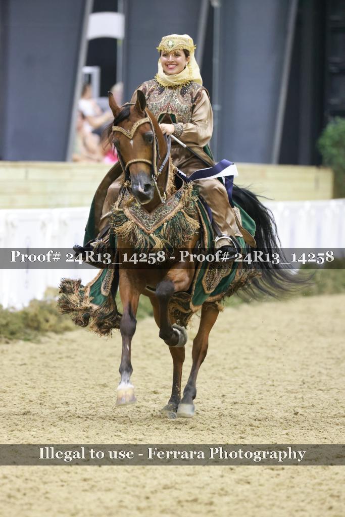 Proof 24R13_14258