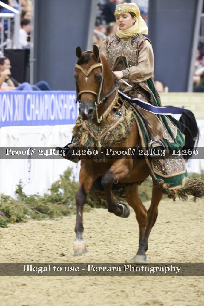 Proof 24R13_14260