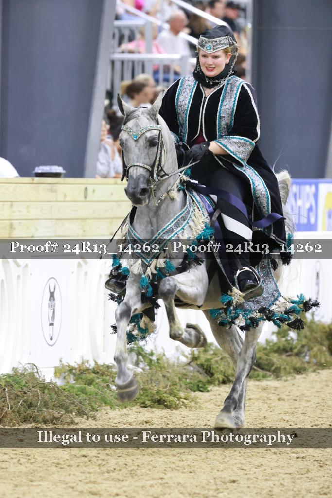 Proof 24R13_14262