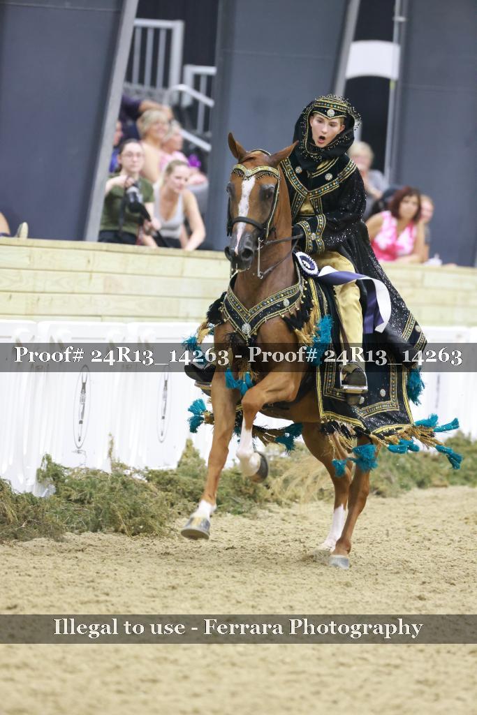 Proof 24R13_14263