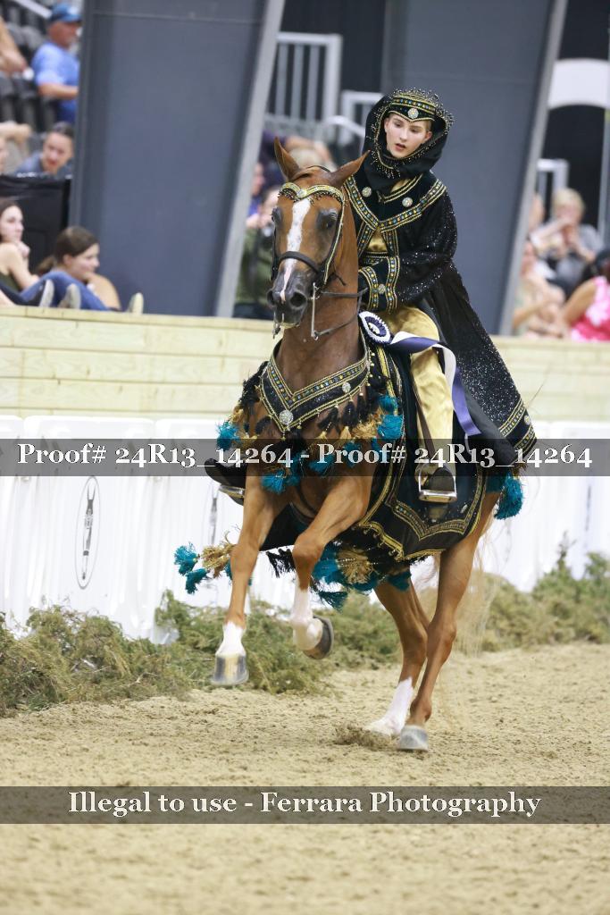 Proof 24R13_14264