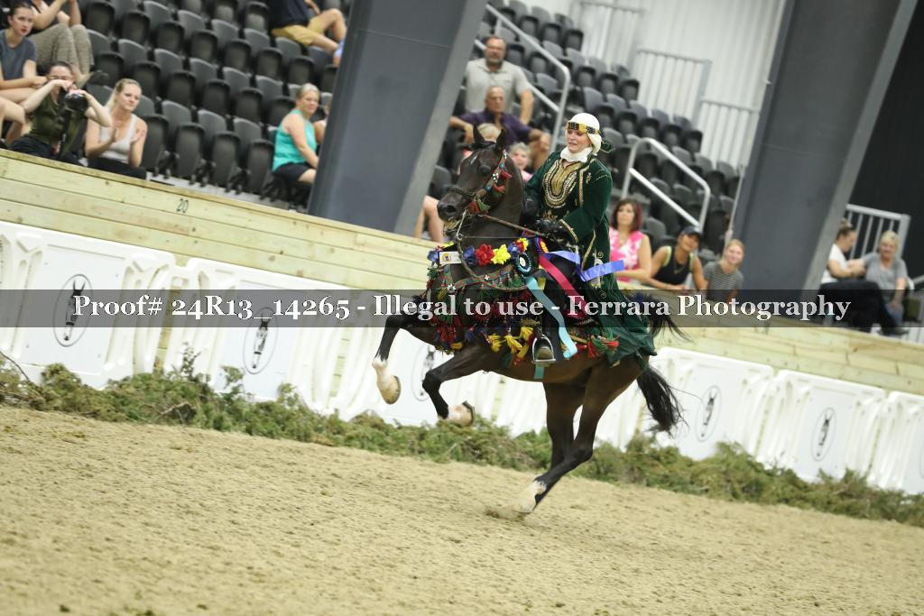 Proof 24R13_14265