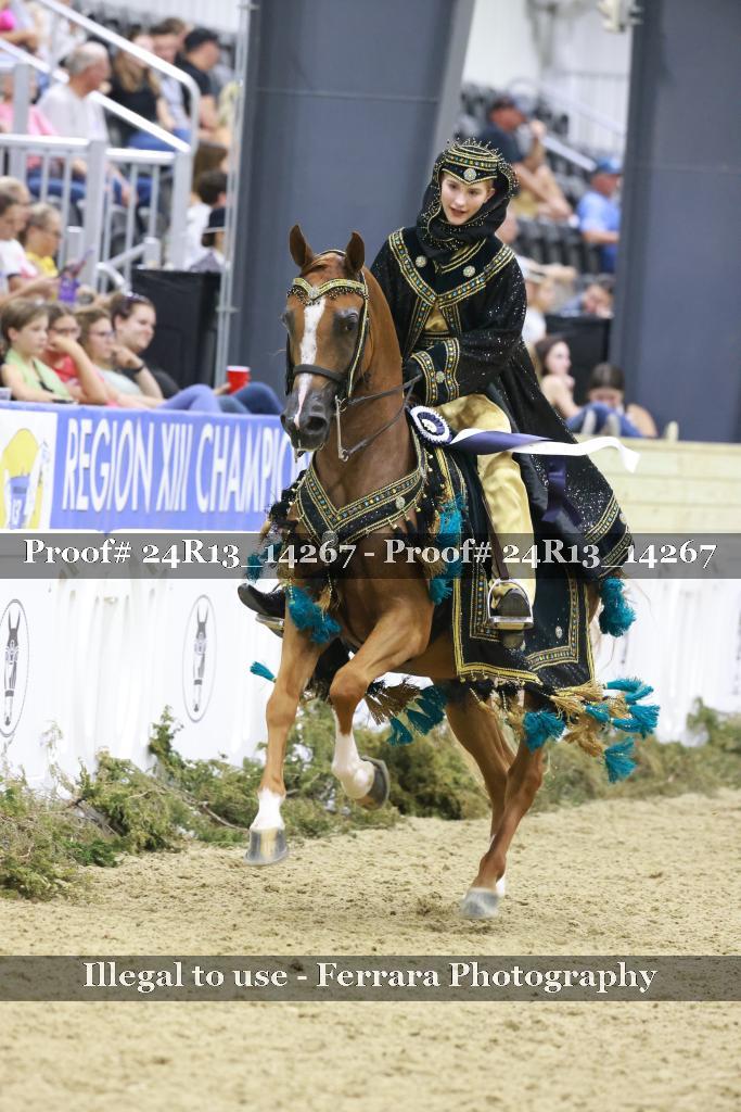 Proof 24R13_14267