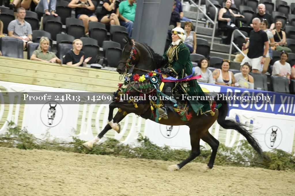 Proof 24R13_14269