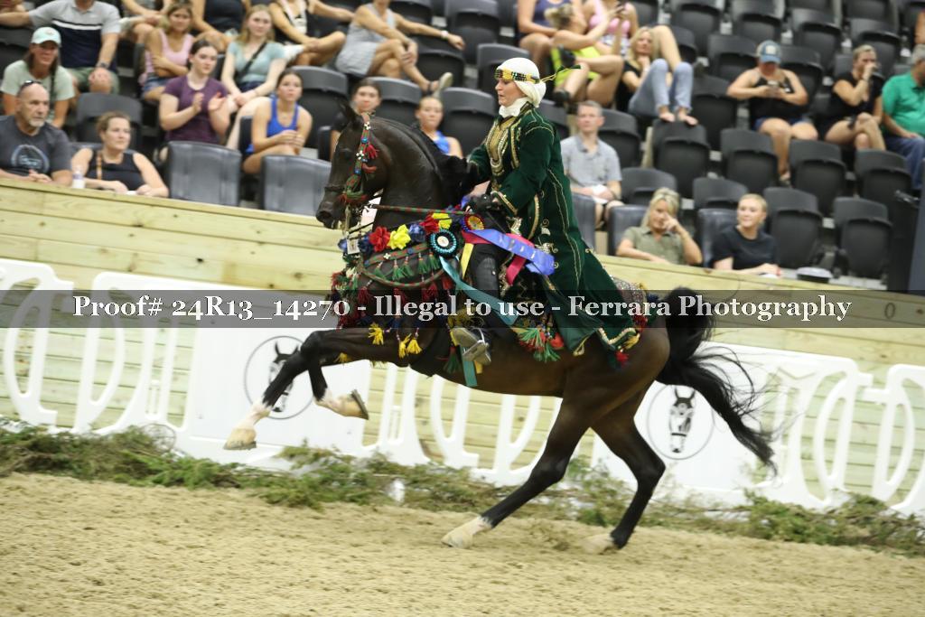 Proof 24R13_14270
