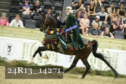 24R13_14271 proof