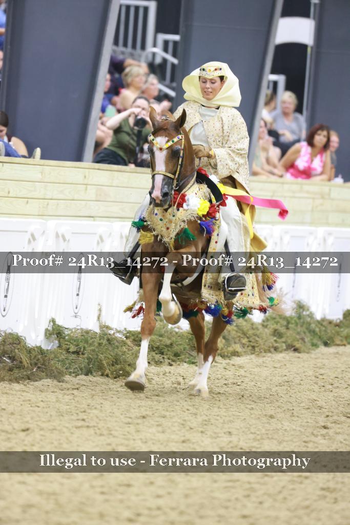 Proof 24R13_14272