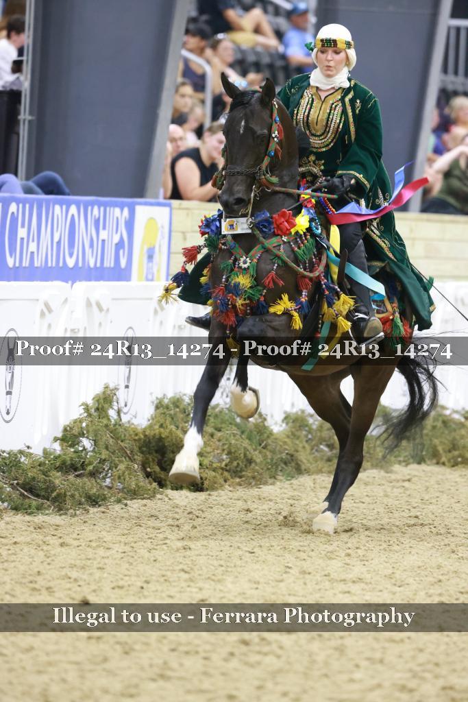 Proof 24R13_14274