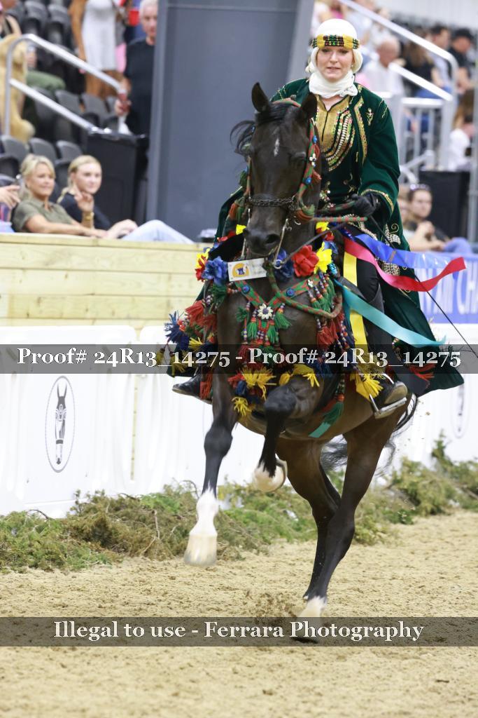 Proof 24R13_14275