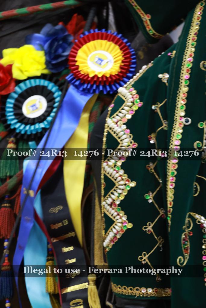 Proof 24R13_14276