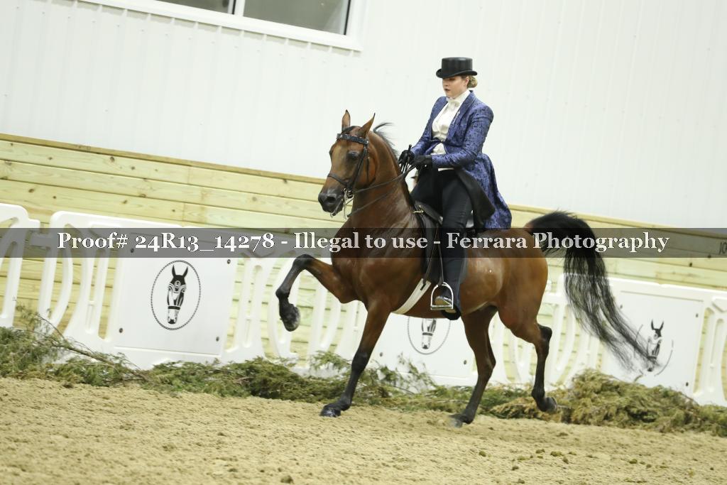 Proof 24R13_14278