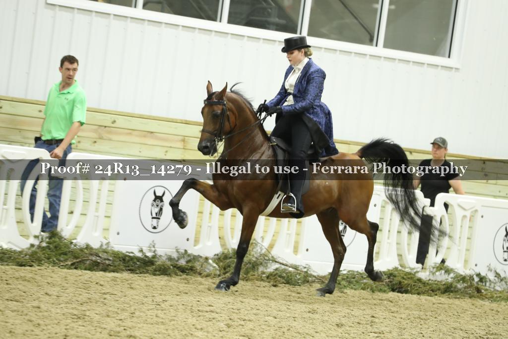 Proof 24R13_14279