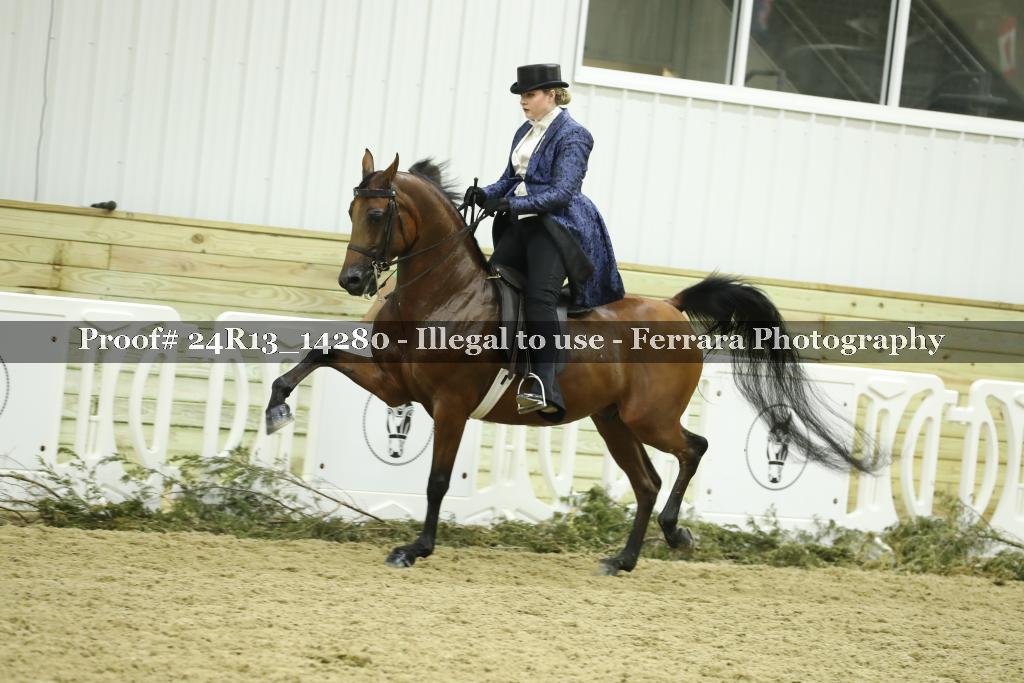 Proof 24R13_14280