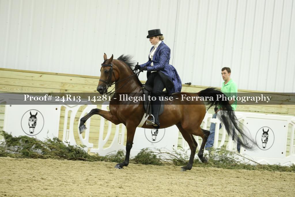 Proof 24R13_14281