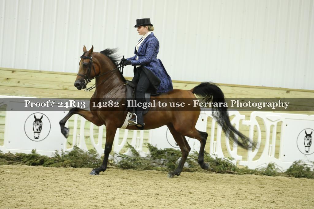 Proof 24R13_14282