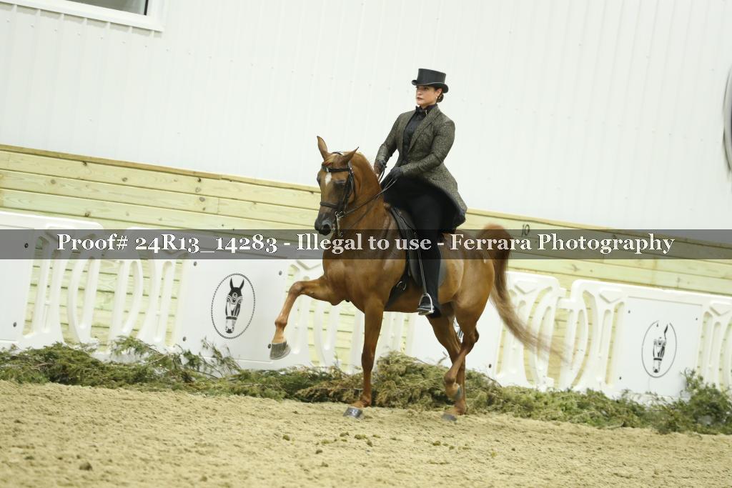 Proof 24R13_14283