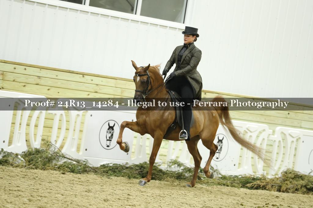 Proof 24R13_14284