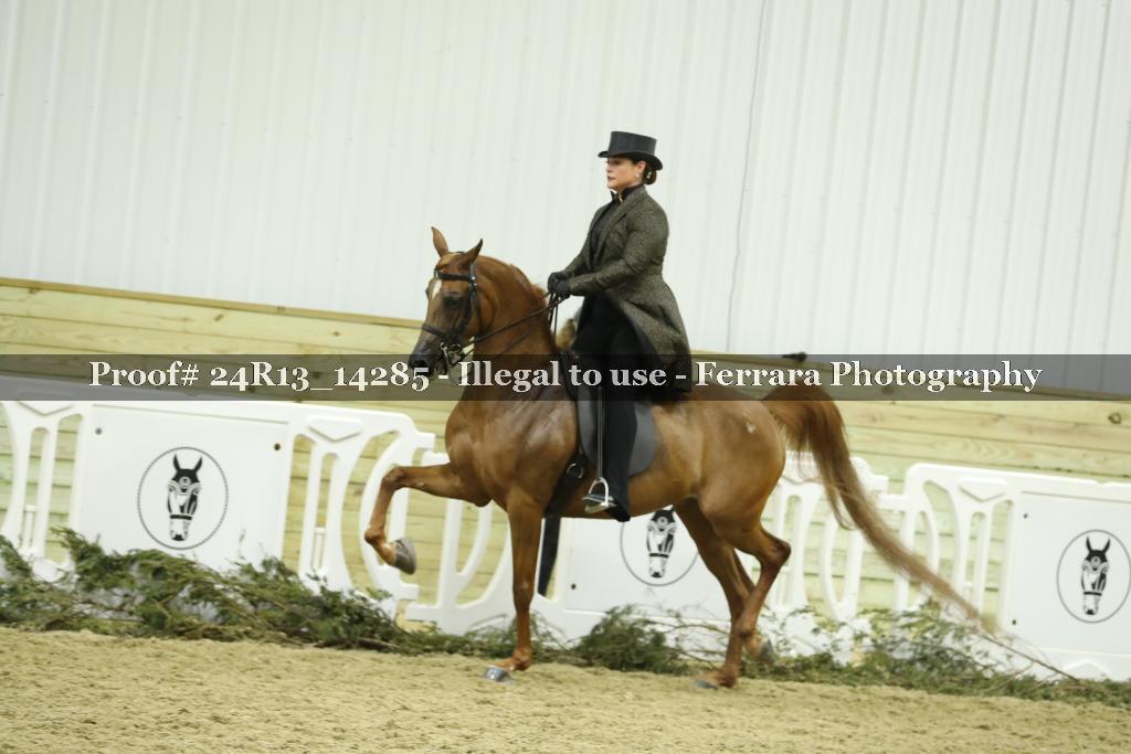 Proof 24R13_14285