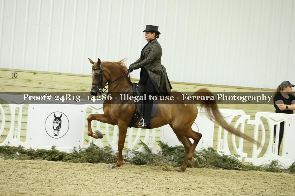 Proof 24R13_14286