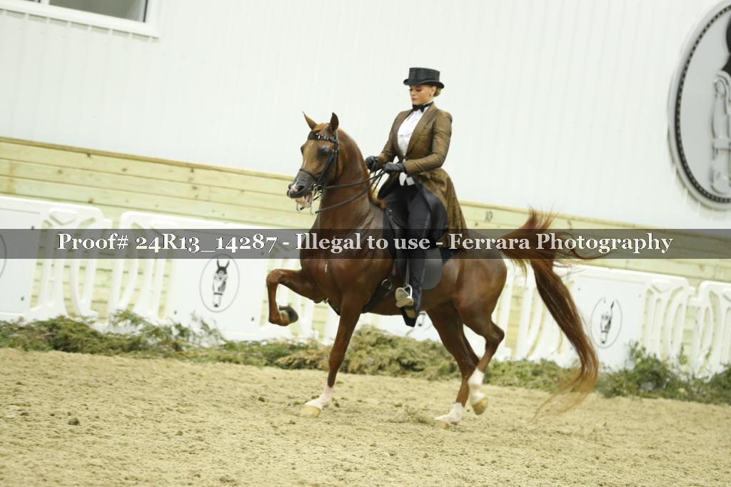 Proof 24R13_14287