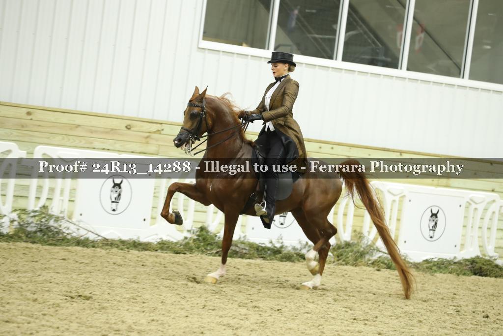 Proof 24R13_14288