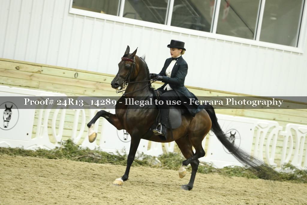 Proof 24R13_14289