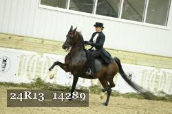 24R13_14289 proof