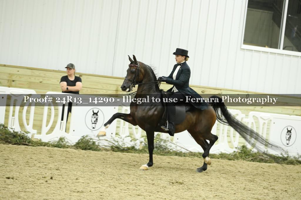 Proof 24R13_14290