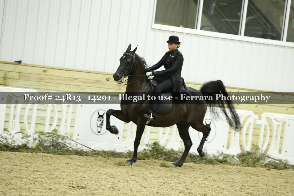 Proof 24R13_14291