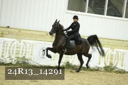 24R13_14291 proof