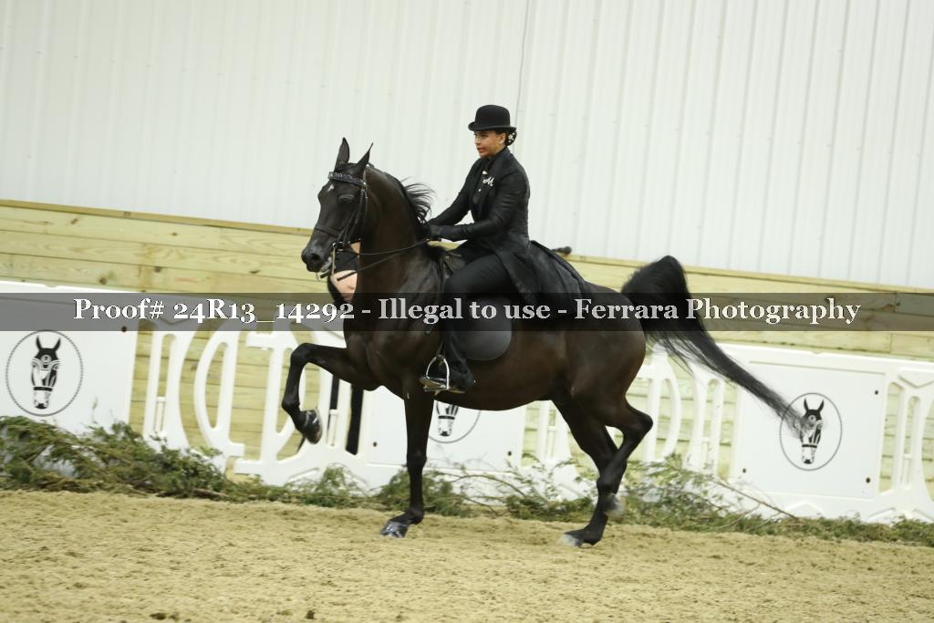 Proof 24R13_14292
