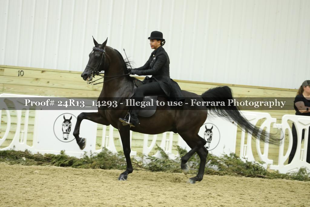 Proof 24R13_14293