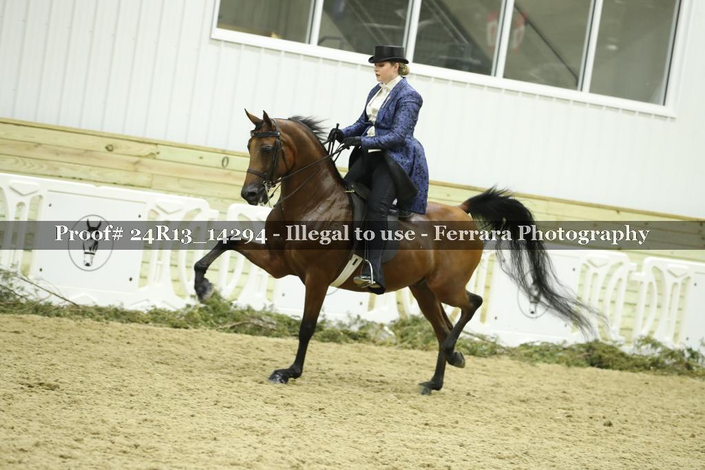 Proof 24R13_14294