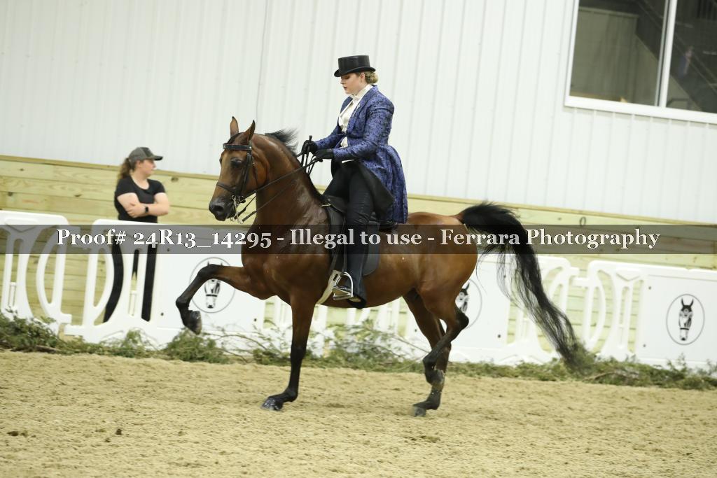 Proof 24R13_14295