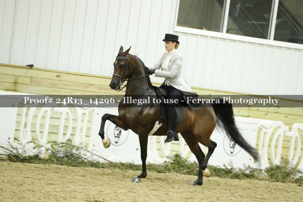 Proof 24R13_14296