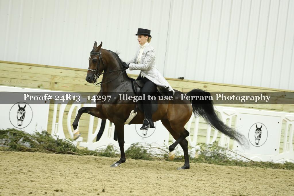 Proof 24R13_14297