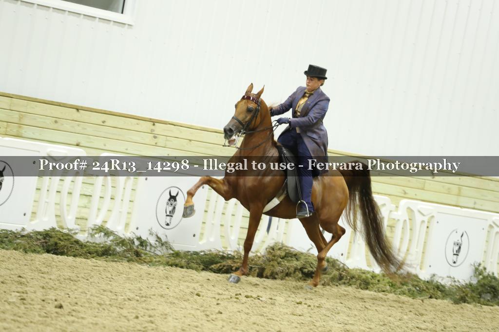 Proof 24R13_14298