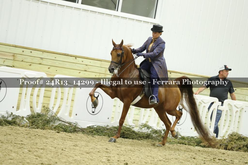 Proof 24R13_14299